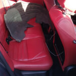 ALFA ROMEO GIULIA TI SPORT RWD